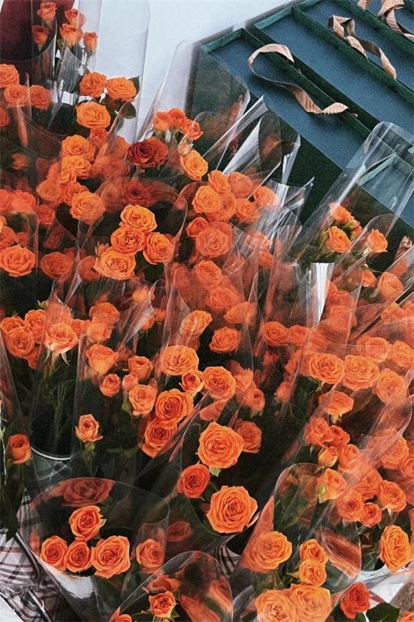 情暖五月天 感恩母親節